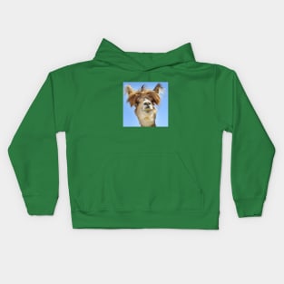 Only Drama Llama Kids Hoodie